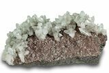 Gemmy Apophyllite Crystal Cluster - Pune District, India #244495-1